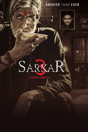 Sarkar 3 2017 WebRip [Hindi] 480p, 720p ESub