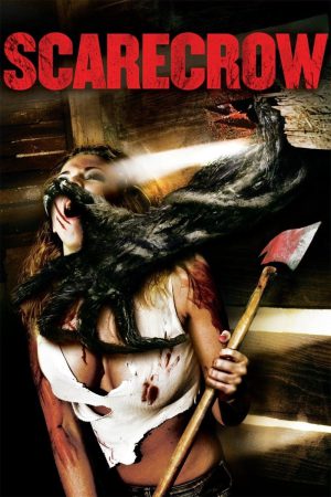 Scarecrow 2013 BluRay [Hindi + Tamil + English] 480p, 720p ESub