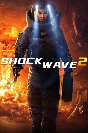 Shock Wave 2 2020 BluRay [Hindi + Chinese] 480p, 720p ESub