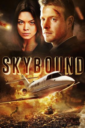 Skybound 2017 BluRay [Hindi + English] 480p, 720p ESub