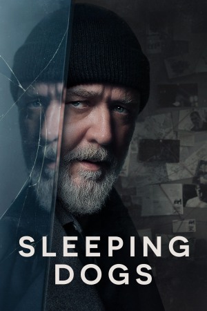 Sleeping Dogs 2024 WebRip [Hindi + Tamil + Telugu + English] 480p, 720p ESub