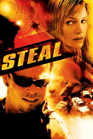 Steal 2002 BluRay [Hindi + Tamil + English] 480p 720p ESub