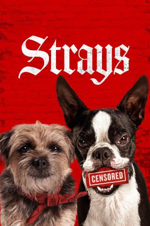 Strays 2023 BluRay [Hindi + English] 480p, 720p