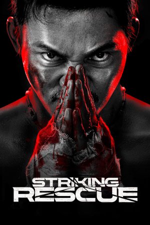 Striking Rescue 2024 BluRay [Hindi + Tamil + Telugu + Chinese] 480p 720p ESub