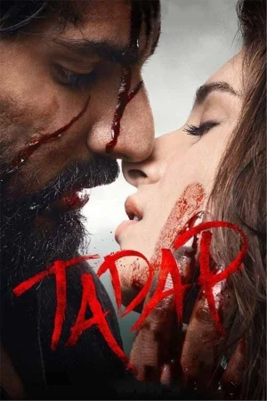 Tadap 2021 WebRip [Hindi] 480p 720p ESub