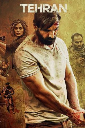 Tehran 2025 WebRip [Hindi] 480p 720p ESub
