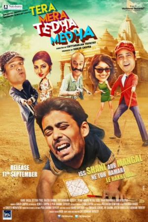 Tera Mera Tedha Medha 2015 WebRip [Hindi] 480p, 720p