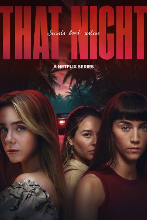 That Night (2026) Season 1 [Hindi + Tamil + Telugu + English] WebRip 480p, 720p ESub - Complete