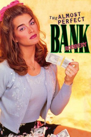 The Almost Perfect Bank Robbery 1999 WebRip [Hindi + English] 480p, 720p ESub