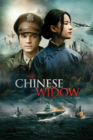 The Chinese Widow 2017 BluRay [Hindi + Chinese] 480p, 720p ESub