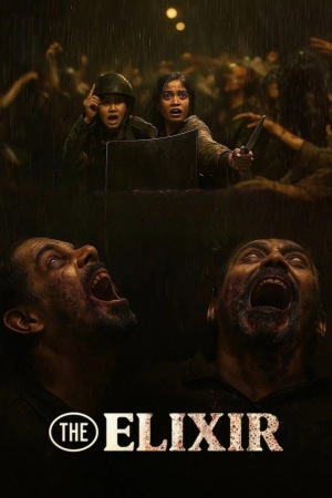 The Elixir 2025 WebRip [Hindi + English] 480p 720p ESub