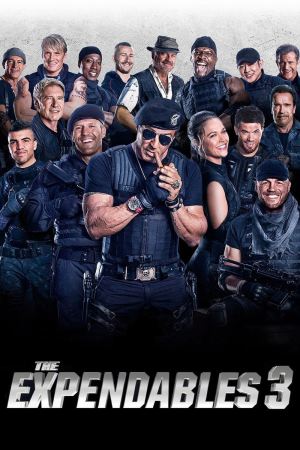 The Expendables 3 2014 BluRay [Hindi + Tamil + Telugu + English] 480p, 720p, 1080p ESub