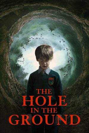 The Hole in the Ground 2019 BluRay [Hindi + English] 480p, 720p ESub
