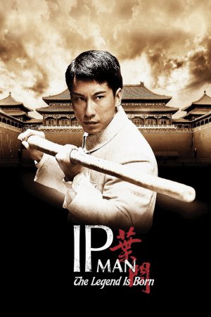 The Legend Is Born: Ip Man 2010 BluRay [Hindi + Tamil + Chinese] 480p 720p ESub