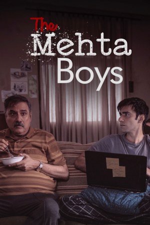 The Mehta Boys 2024 WebRip [Hindi + Tamil + Telugu + Malayalam + Kannada] 480p, 720p, 1080p ESub
