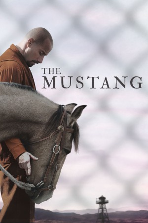 The Mustang 2019 BluRay [Hindi + English] 480p, 720p ESub