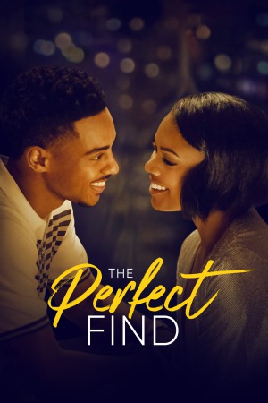 The Perfect Find 2023 WebRip [Hindi + Tamil + Telugu + English] 480p, 720p, 1080p ESub