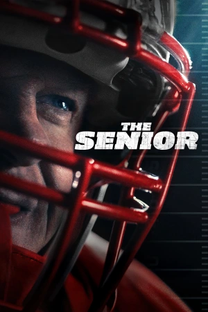The Senior 2025 WebRip [Hindi + English] 480p 720p ESub