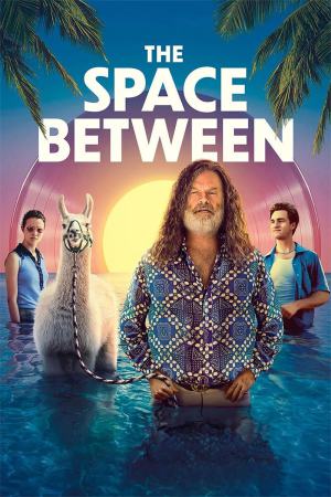 The Space Between 2021 WebDl [Hindi + English] 480p, 720p ESub