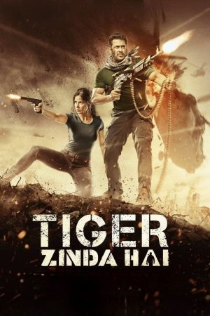 Tiger Zinda Hai 2017 BluRay [Hindi] 480p, 720p