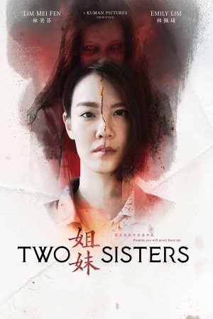 Two Sisters 2019 WebRip [Hindi + Tamil + Telugu + Chinese] 480p 720p ESub