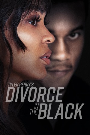 Tyler Perry's Divorce in the Black 2024 WebRip [Hindi + English] 480p, 720p ESub