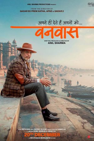 Vanvaas 2024 WebRip [Hindi] 480p 720p ESub
