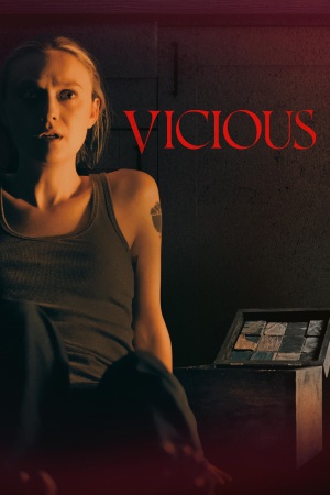 Vicious 2025 WebRip [Hindi + English] 480p 720p ESub