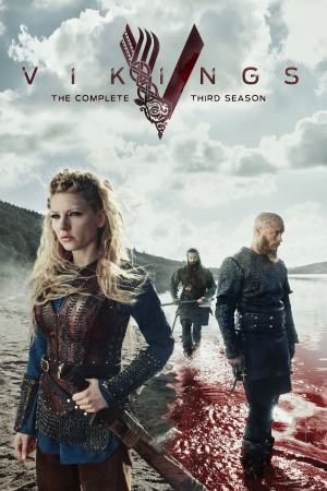 Vikings (2015) Season 3 [Hindi + English] Extended BluRay 480p 720p ESub - Complete