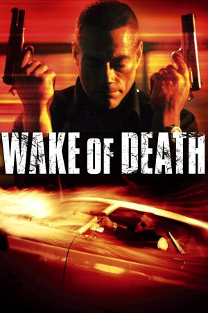 Wake of Death 2004 BluRay [Hindi + English] 480p, 720p ESub