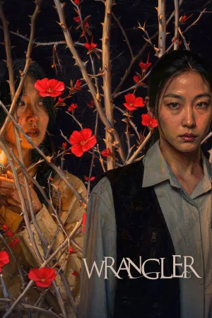 Wrangler 2026 WebRip [Hindi + Korean] 480p 720p ESub