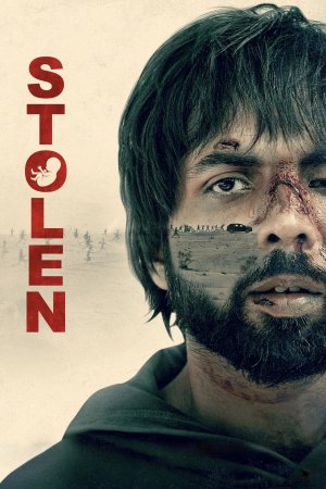 Stolen 2023 WebRip [Hindi] 480p 720p ESub