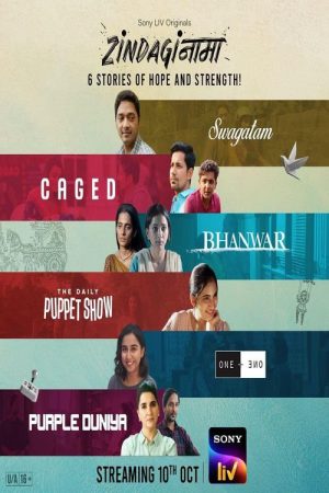 Zindaginama (2024) Season 1 [Hindi] WebRip 480p, 720p ESub - Complete
